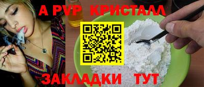 прущие грибы Кингисепп
