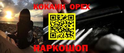 гашик Кинель