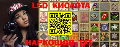 прущие грибы Кингисепп