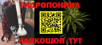 прущие грибы Кингисепп