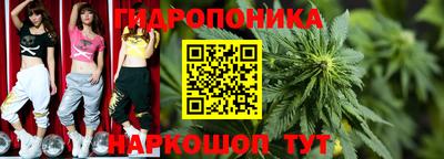 прущие грибы Кингисепп