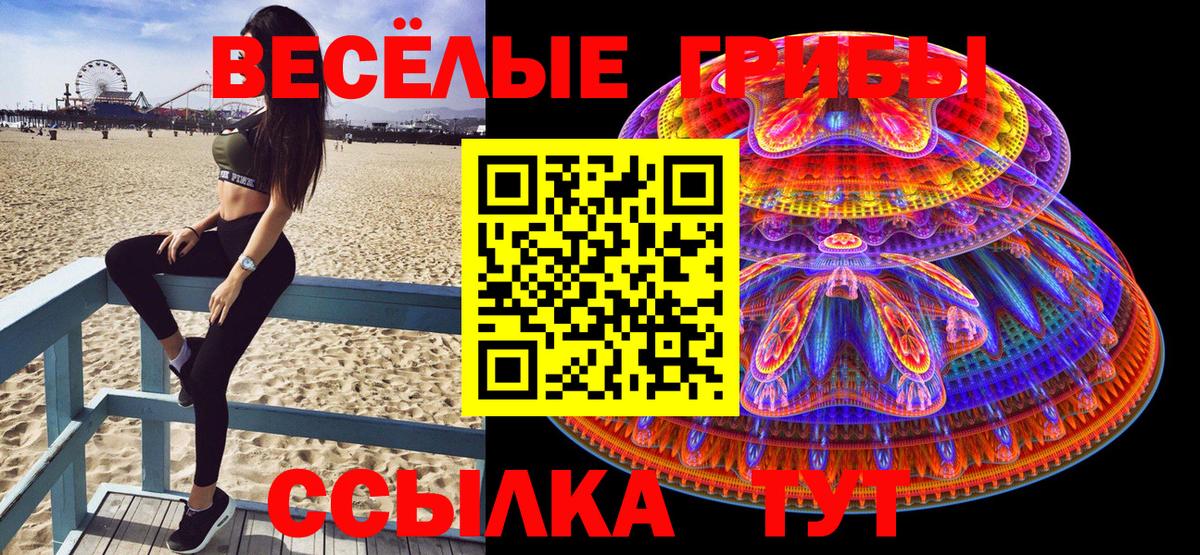Галлюциногенные грибы мухоморы Котовск